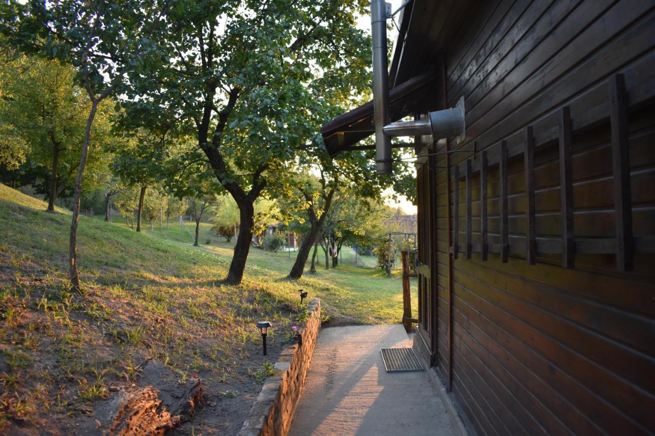 Odmor Za Dusu I Tijelo U Srcu Prirode Villa Aljmas Exterior photo