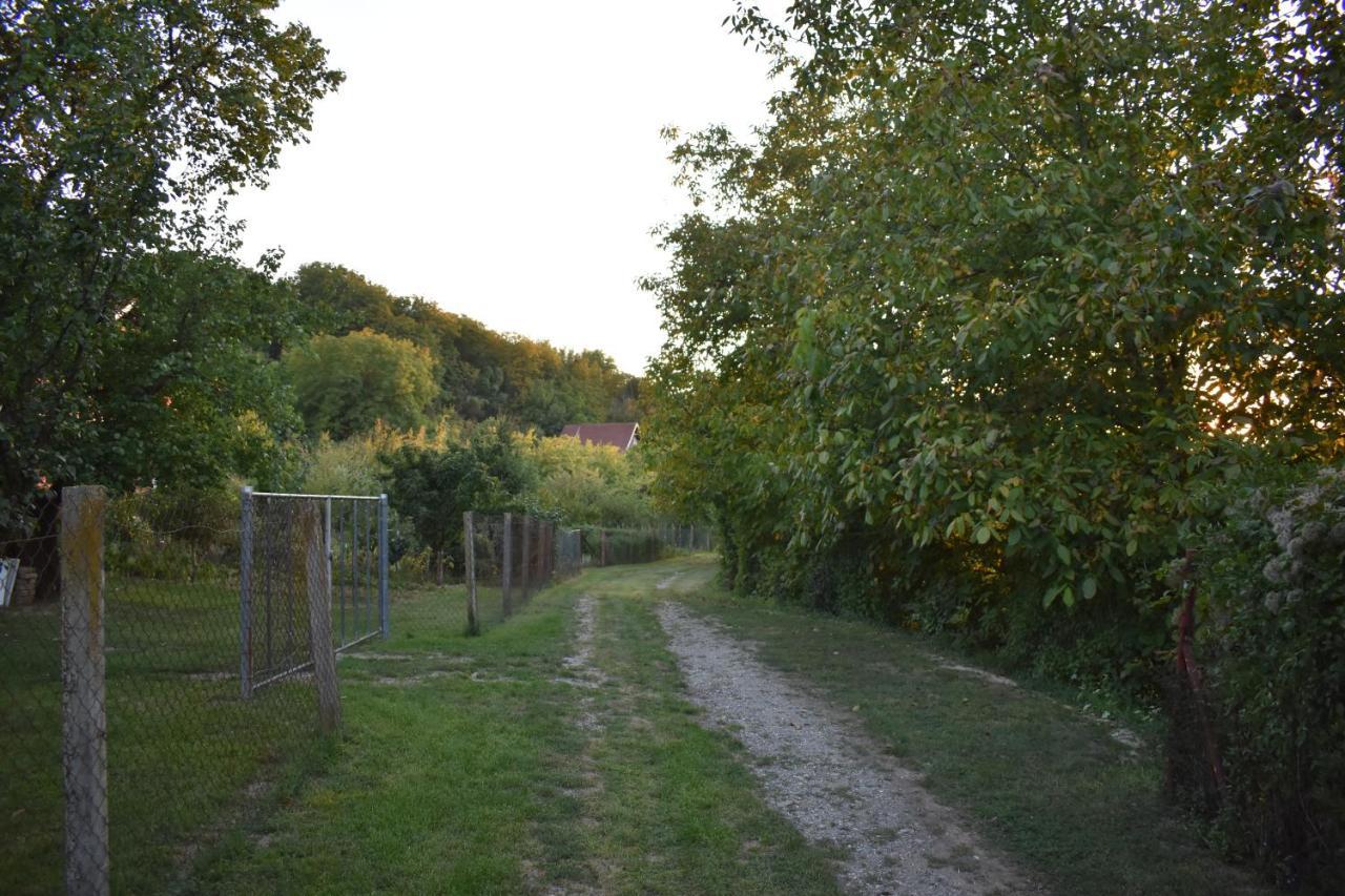 Odmor Za Dusu I Tijelo U Srcu Prirode Villa Aljmas Exterior photo