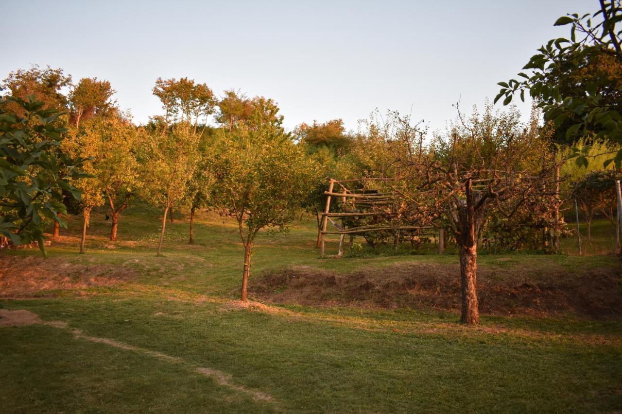 Odmor Za Dusu I Tijelo U Srcu Prirode Villa Aljmas Exterior photo